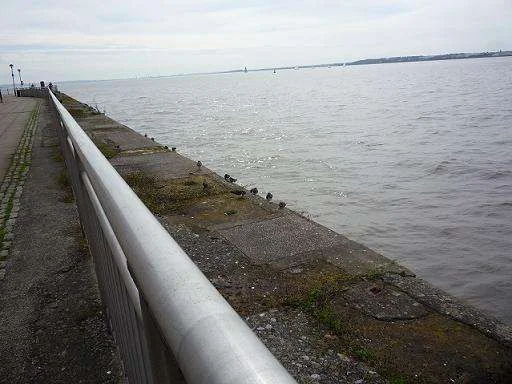 001 Otterspool to Liverpool.webp