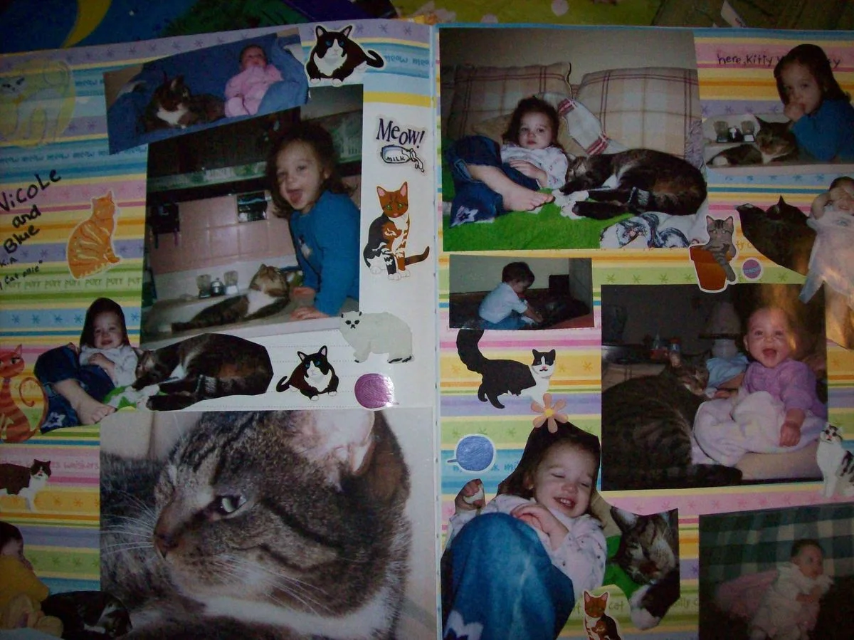001.webp
