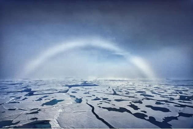 001CATERS-White-Rainbow-01_220221.webp