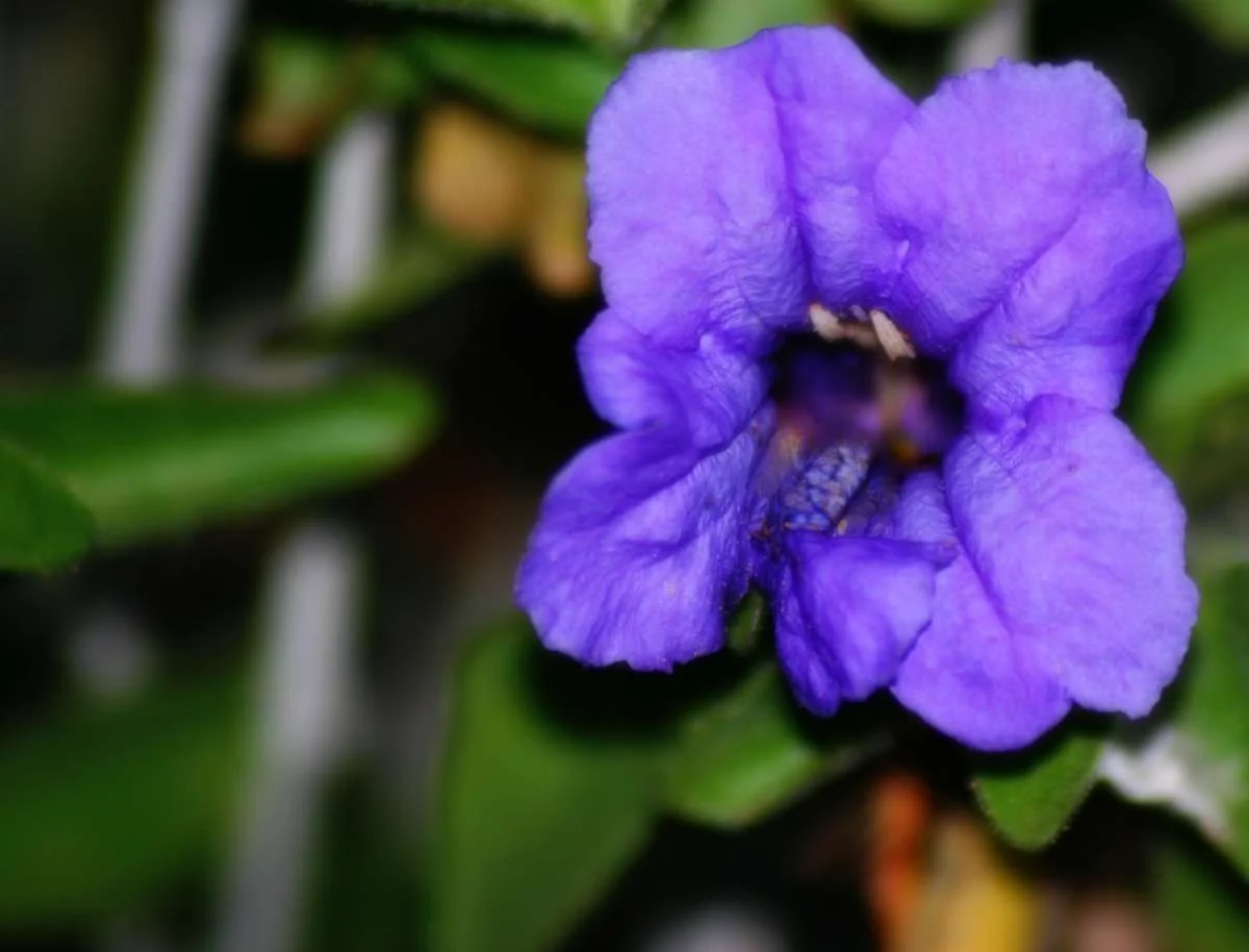 002.webp