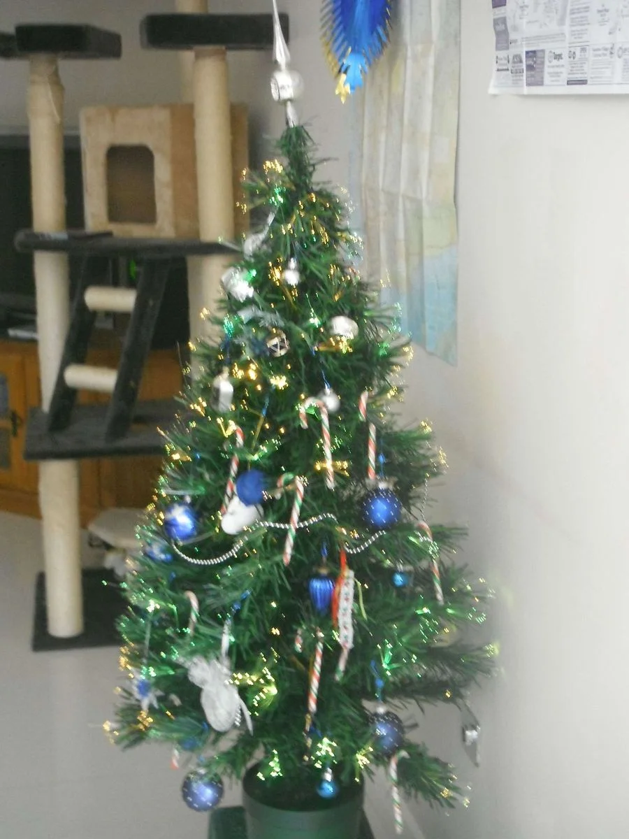 004.webp