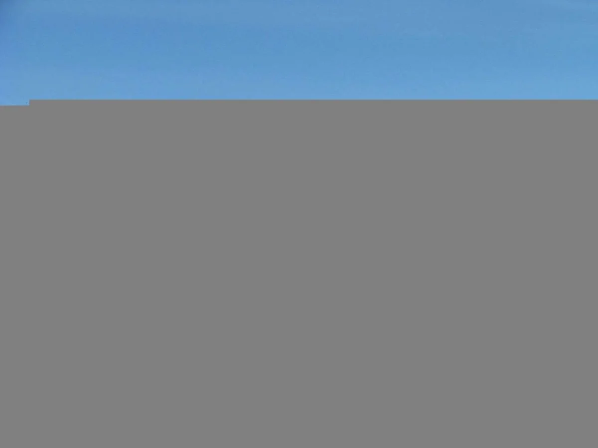 007a1.webp