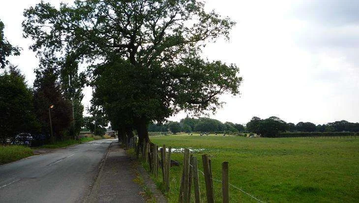 009 - Copy.webp