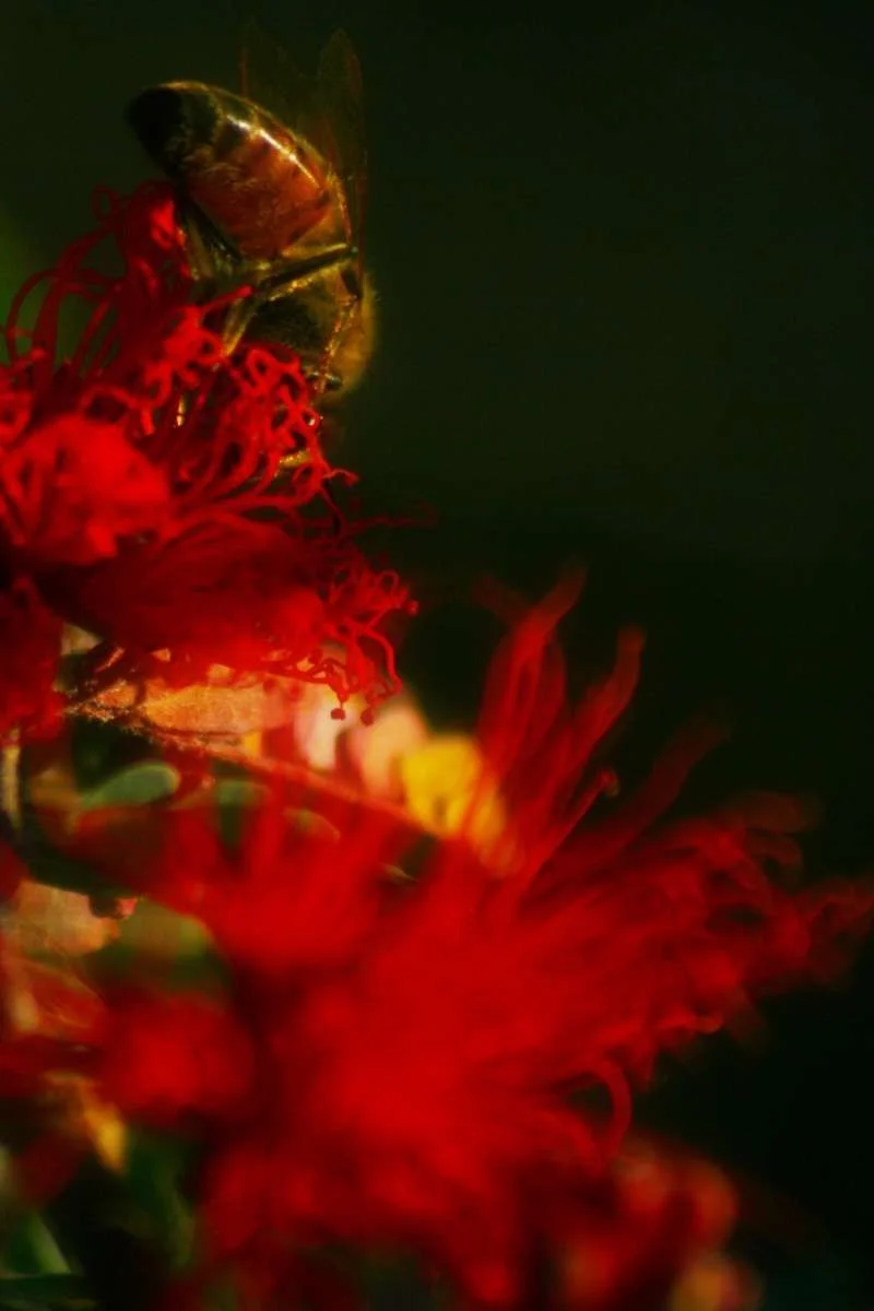 012edit.webp