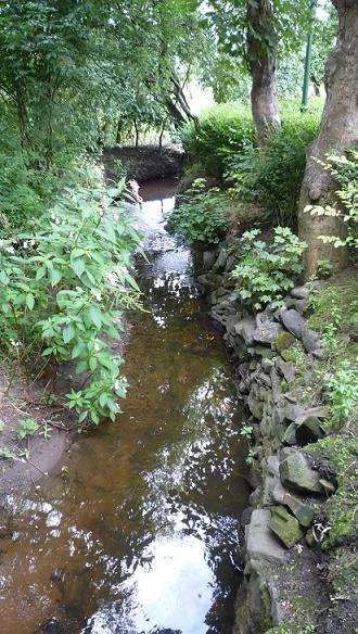 015 - Copy.webp