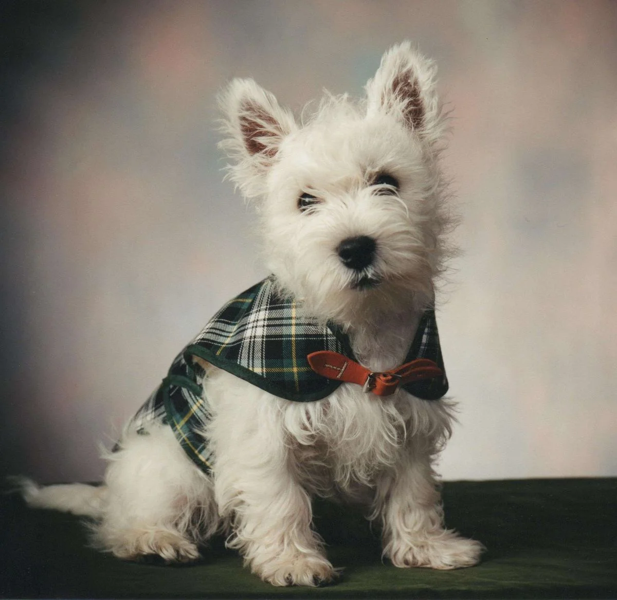 02-douglas-as-little-boy.webp