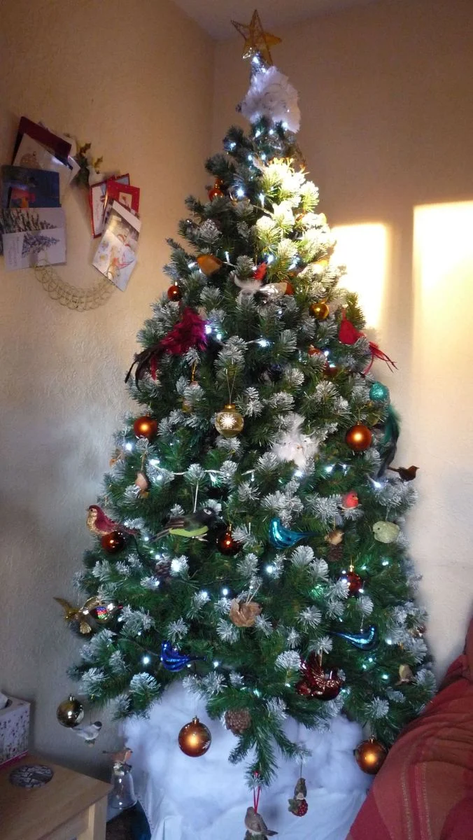 021 Christmas tree.webp