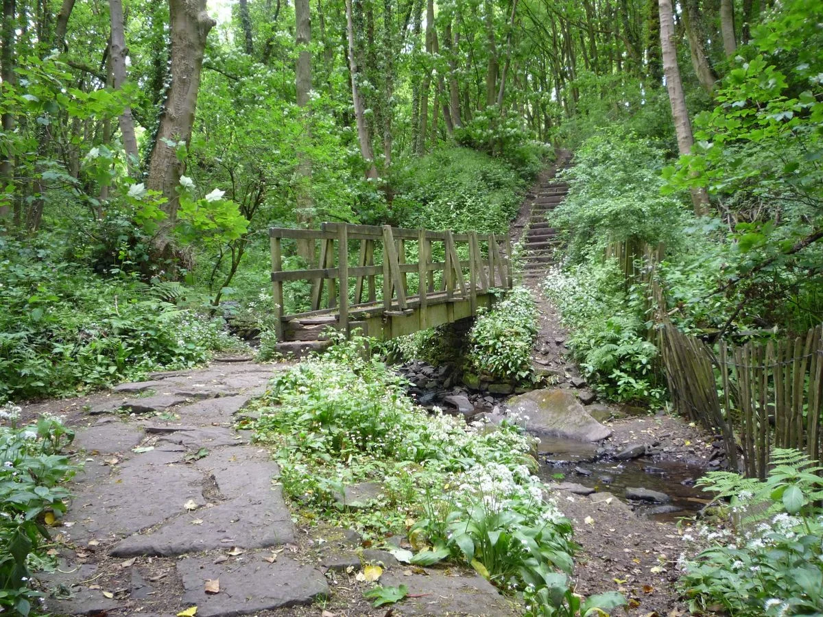025 Fairy Glen and Sprodley Brook.webp