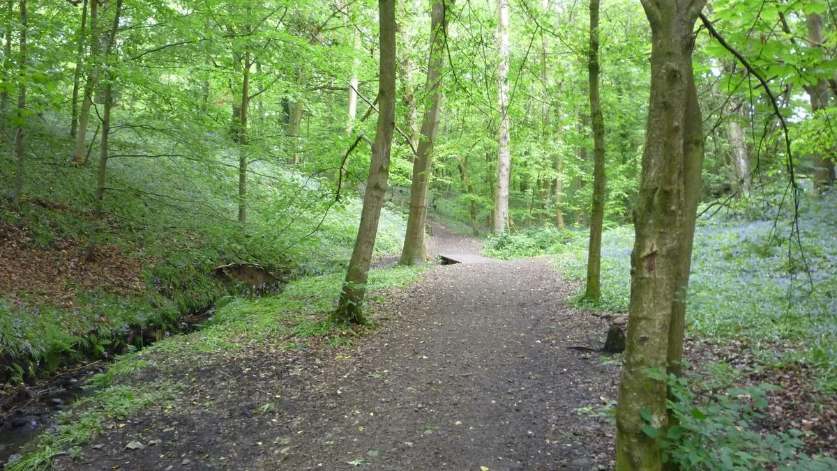 038 Fairy Glen and Sprodley Brook.webp