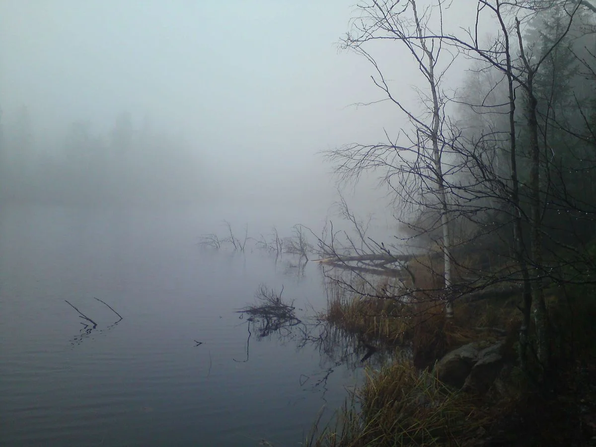 038.webp