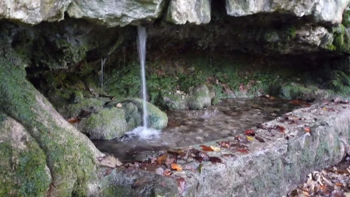 041.webp
