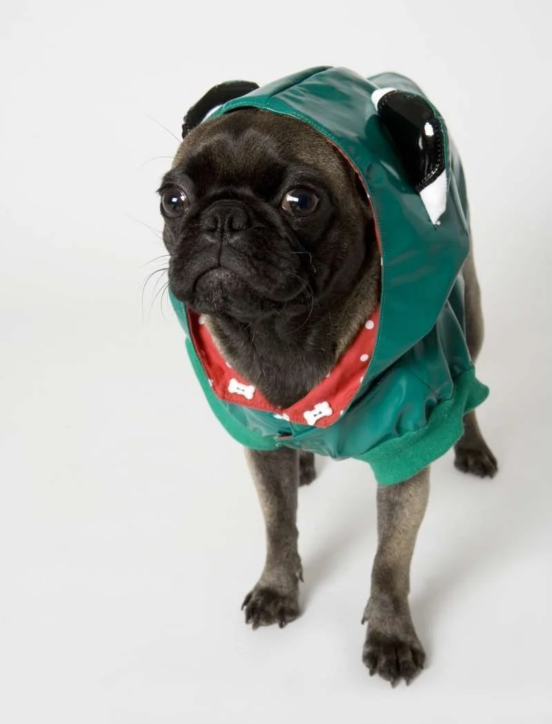 082207_Shot01_007.webp