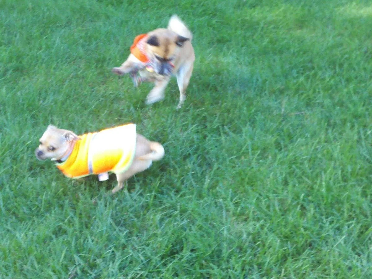 092712Play.webp