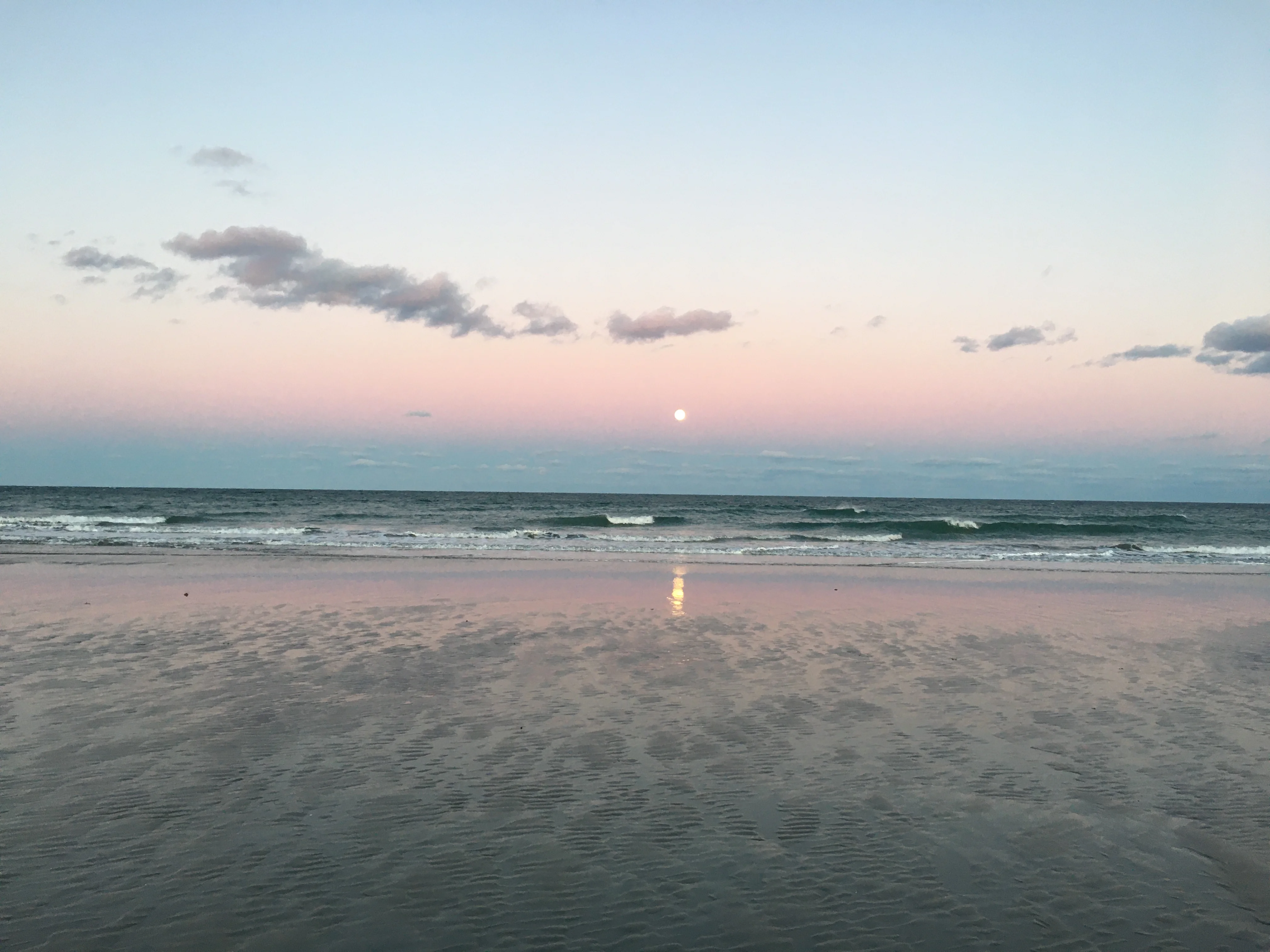 0A1259C0-4DB8-4154-B31F-449EA6CA6661.jpeg