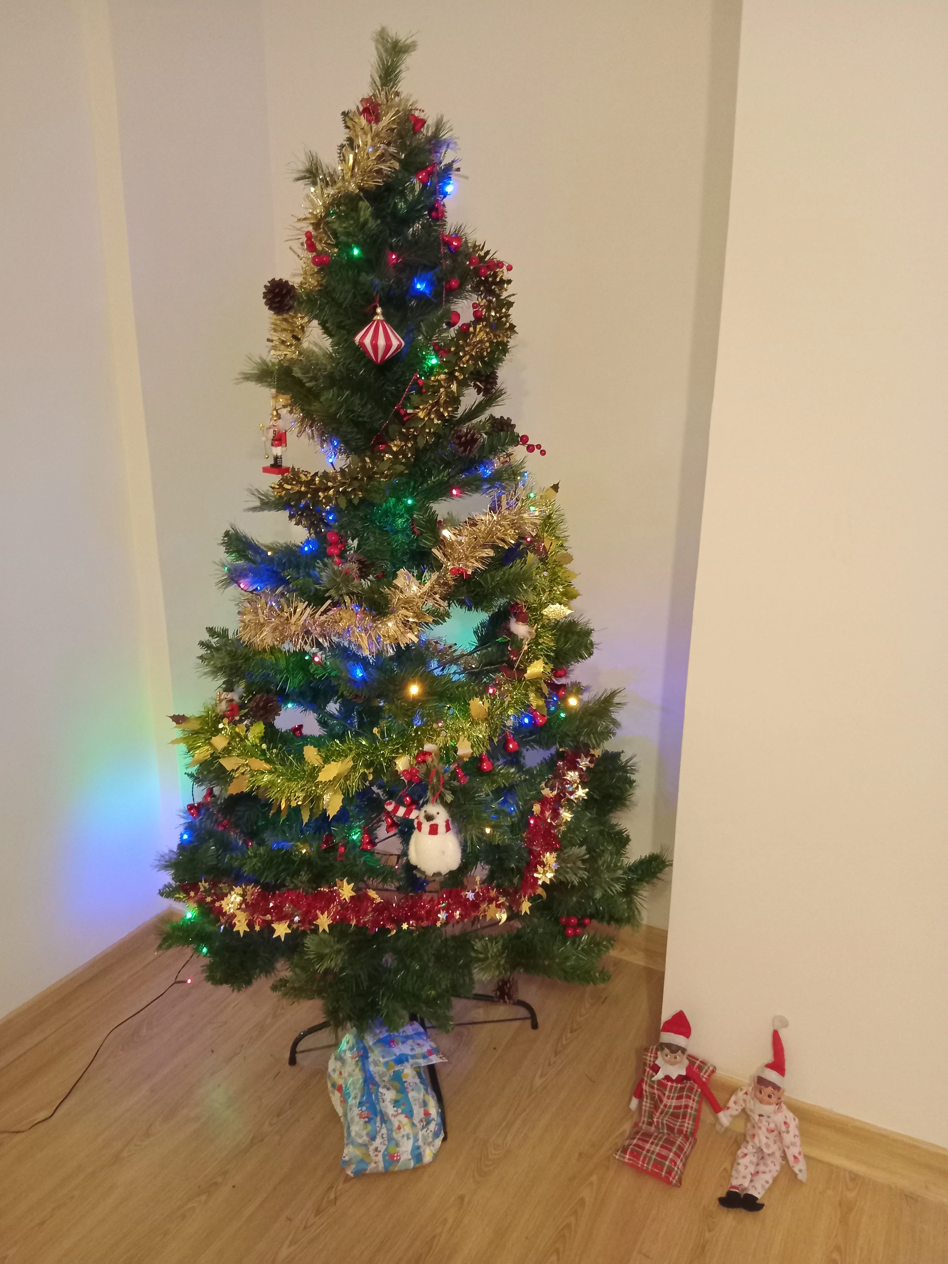 1000005846.webp