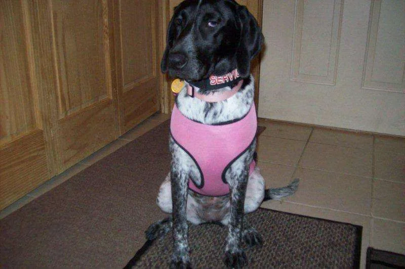 100_0484.webp