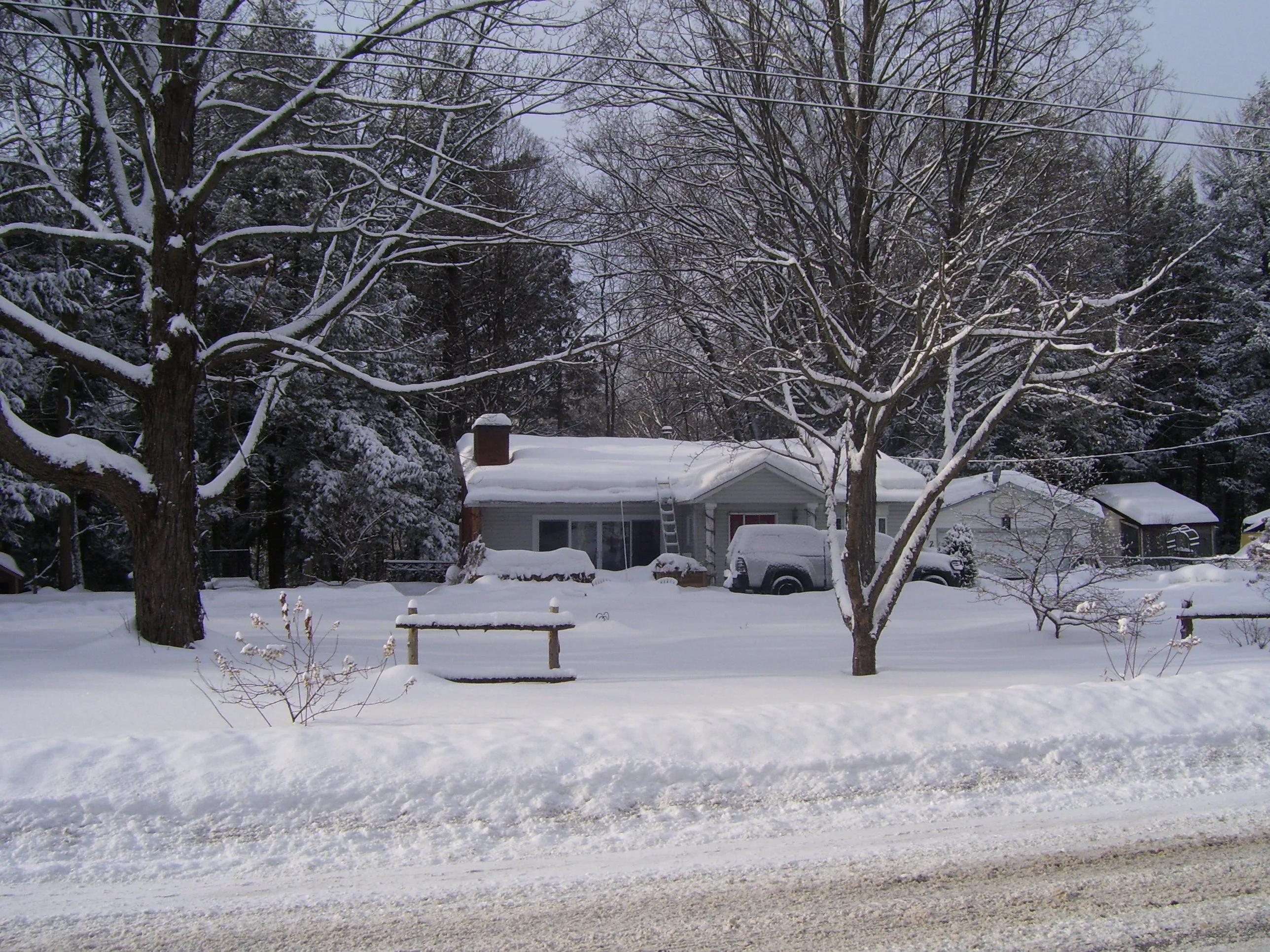 100_1686.webp