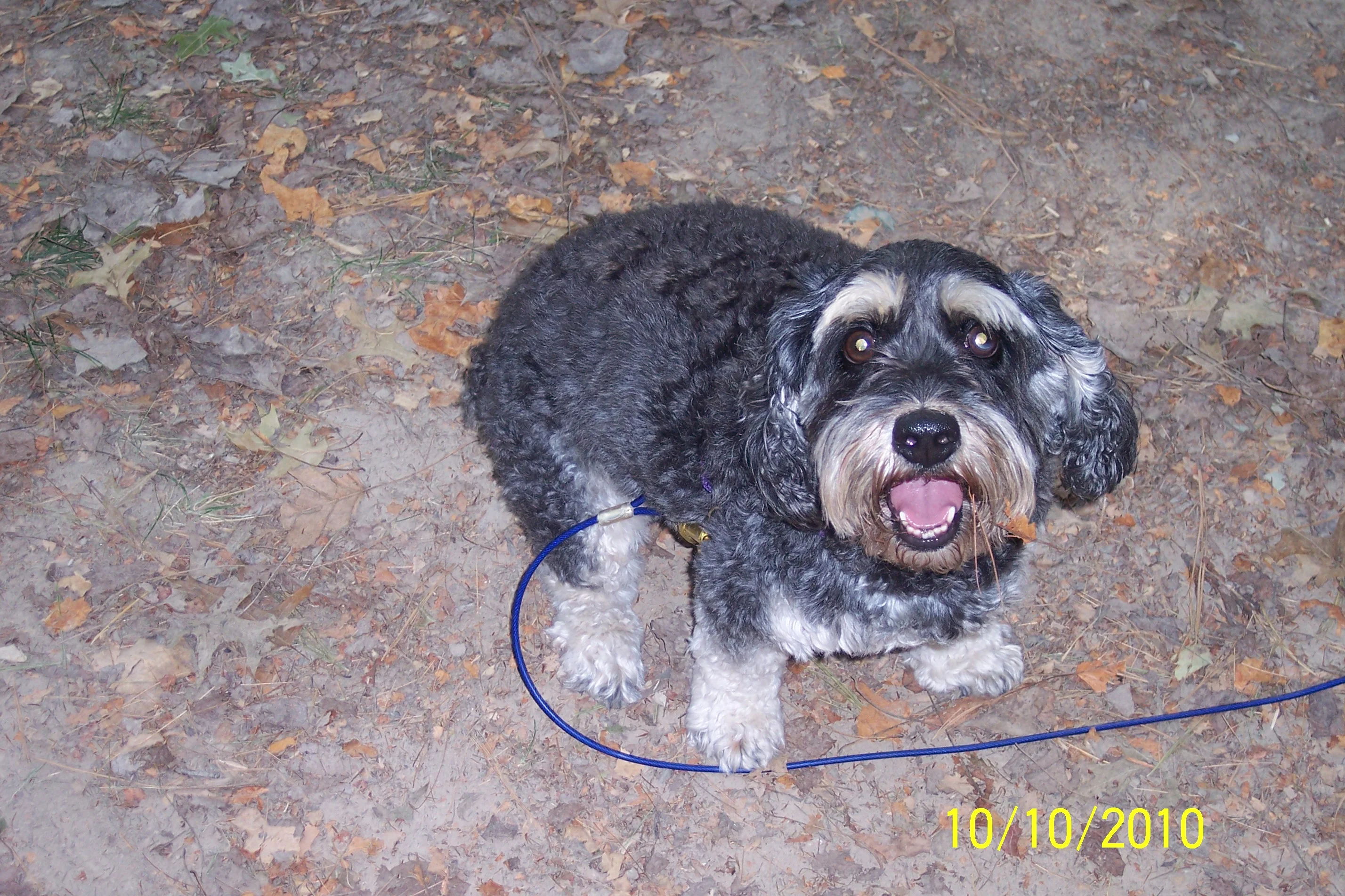 100_3264.webp