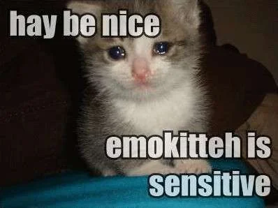 101120-sensitive.webp