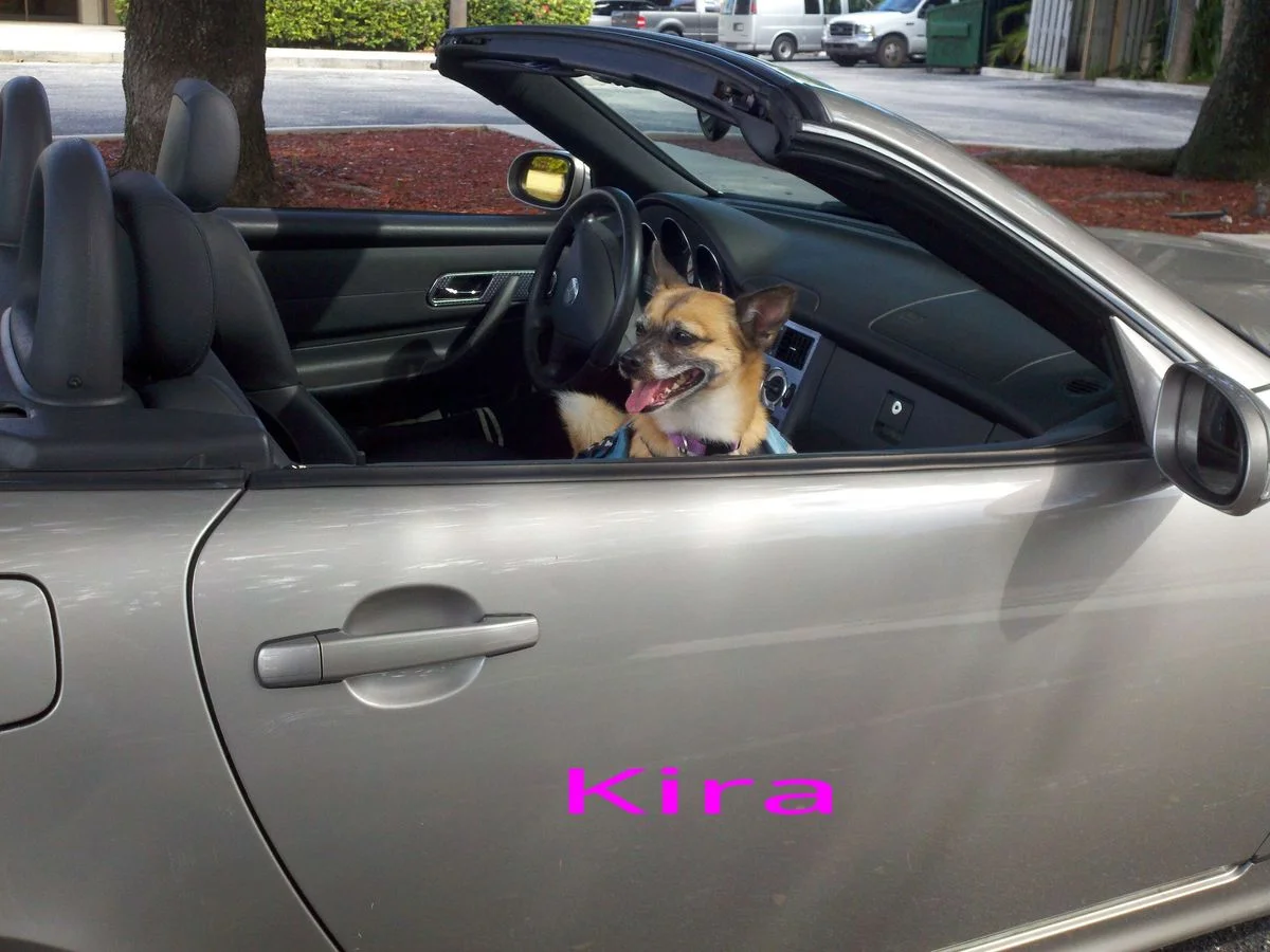 101812Kira.webp