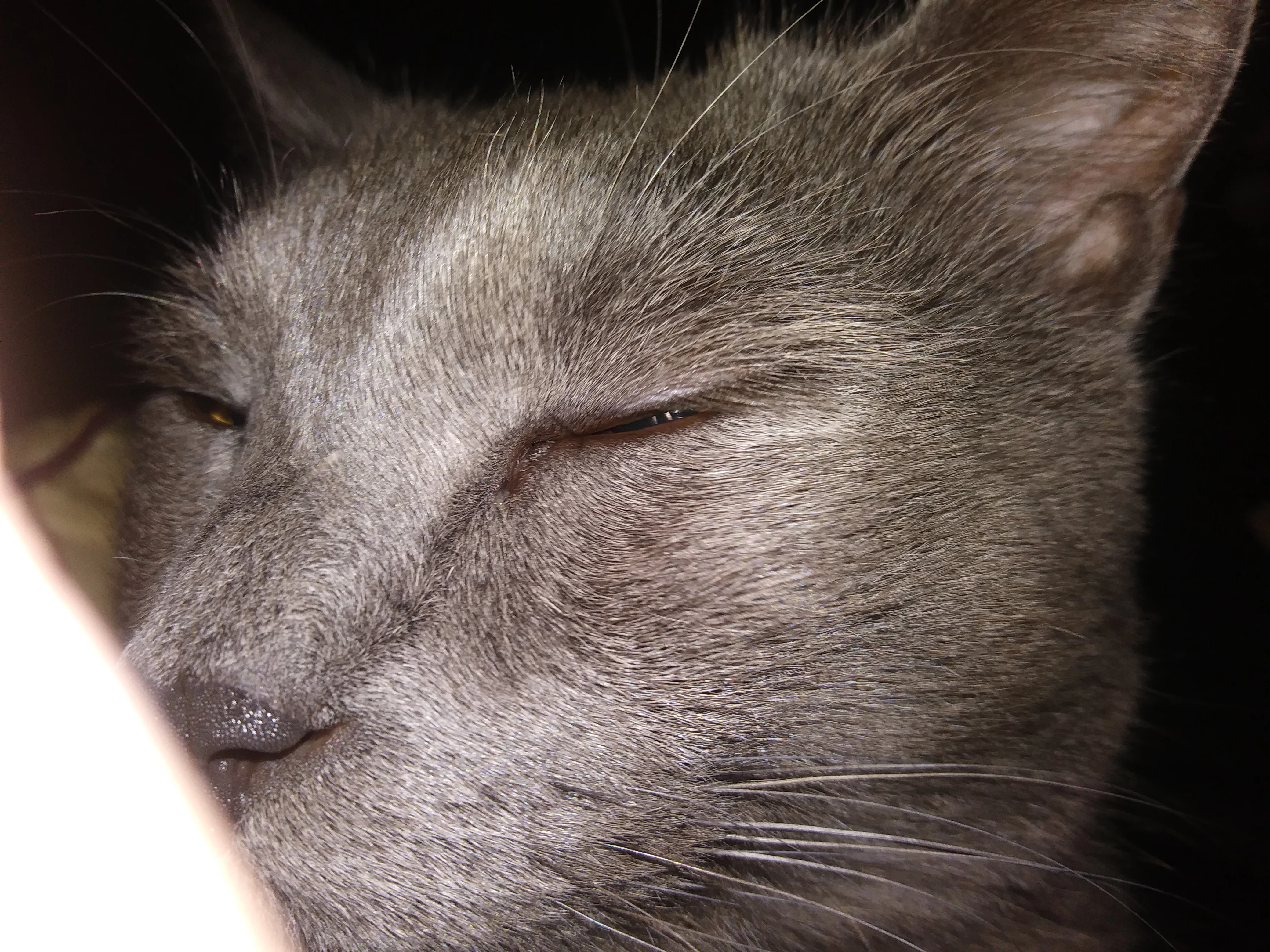 1022192225.webp