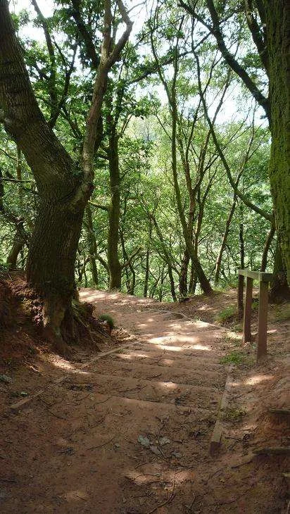 11 Sandstone Trail Frodsahm to helsby - Copy.webp