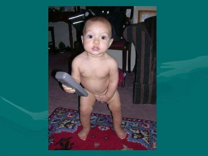 11.webp