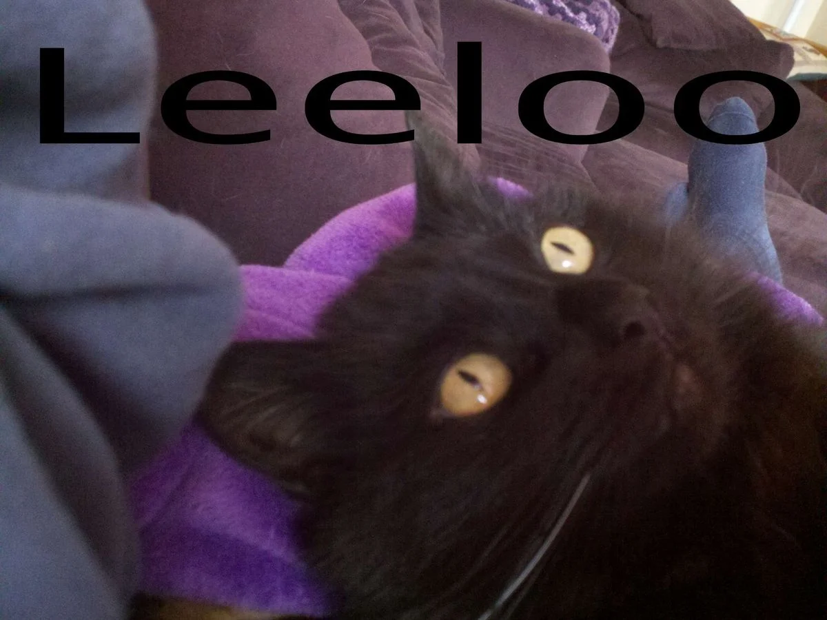 110312Leeloo.webp