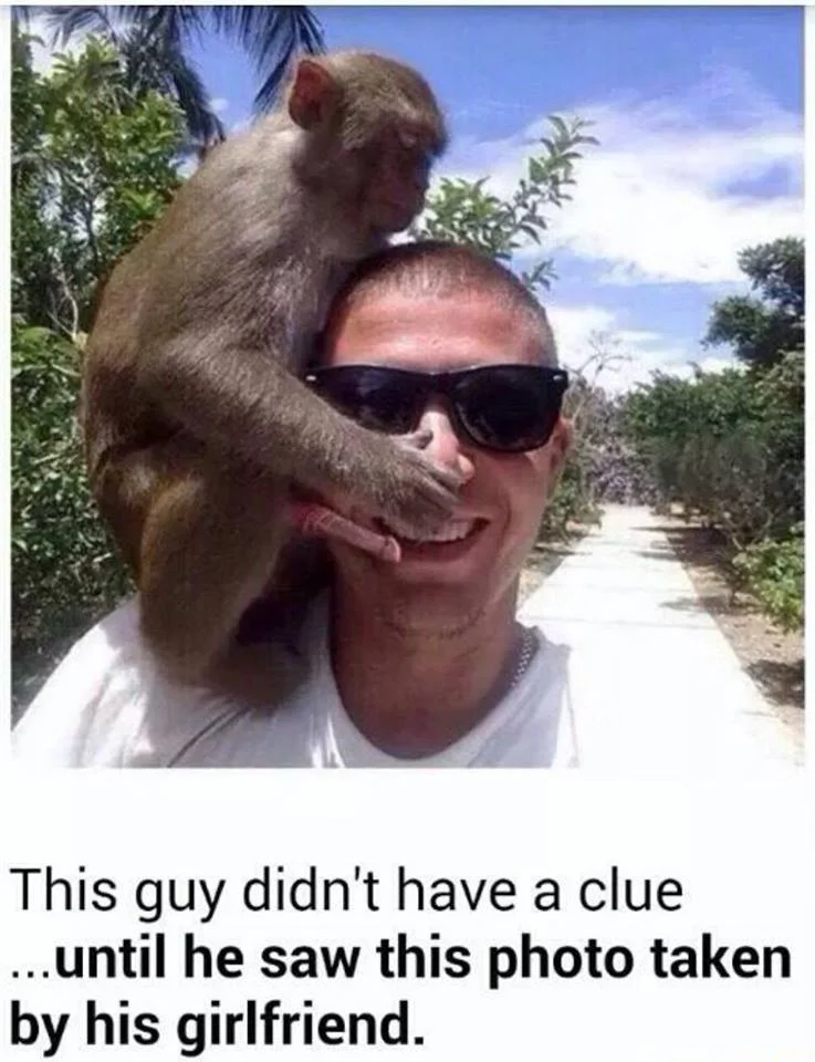 11694776_10152952078041408_1613180994078967272_n.webp