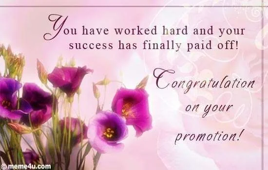 1510-promotion.webp