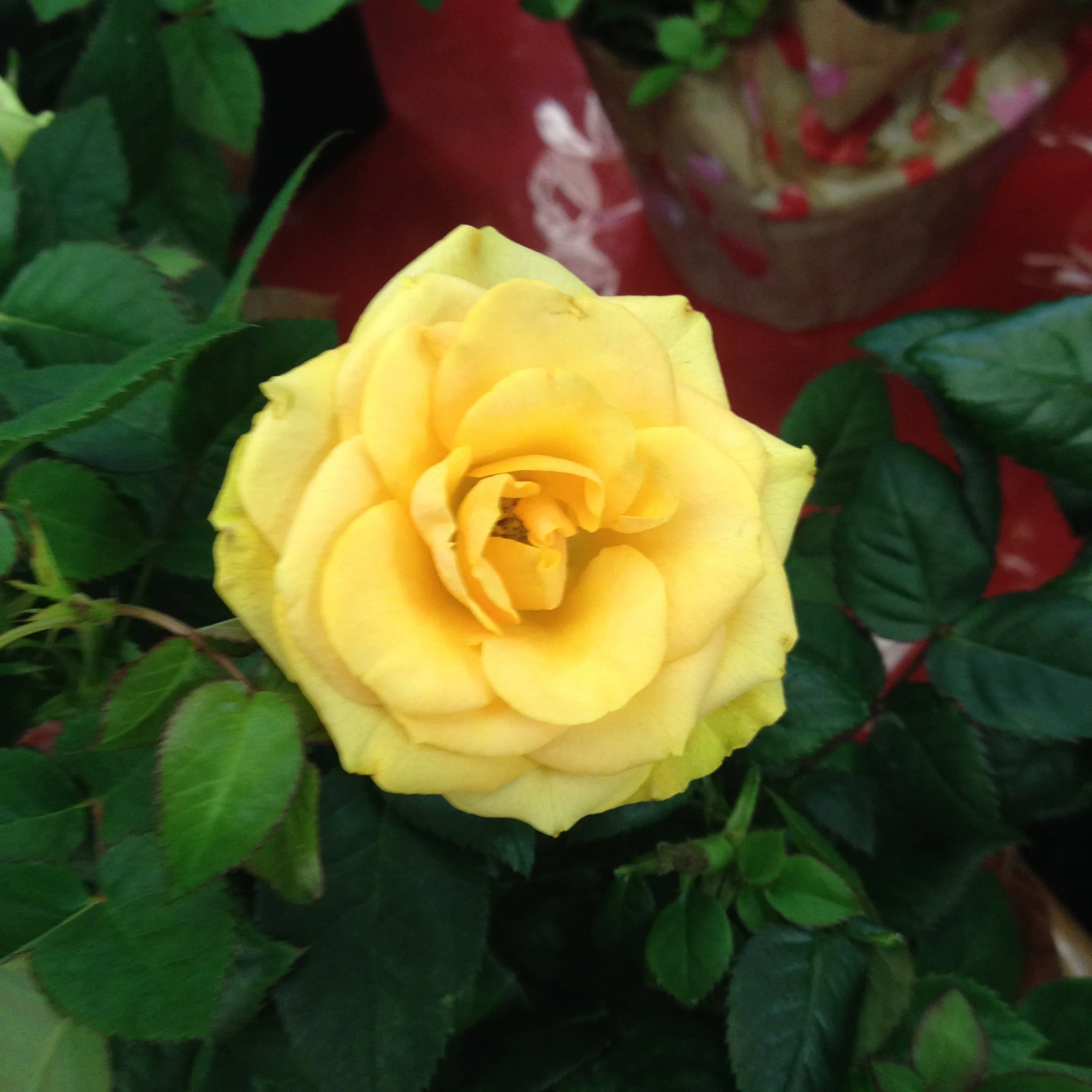 1581163985276.webp