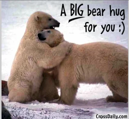 2 bears hugging.webp