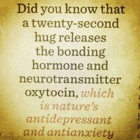20 second hug....webp