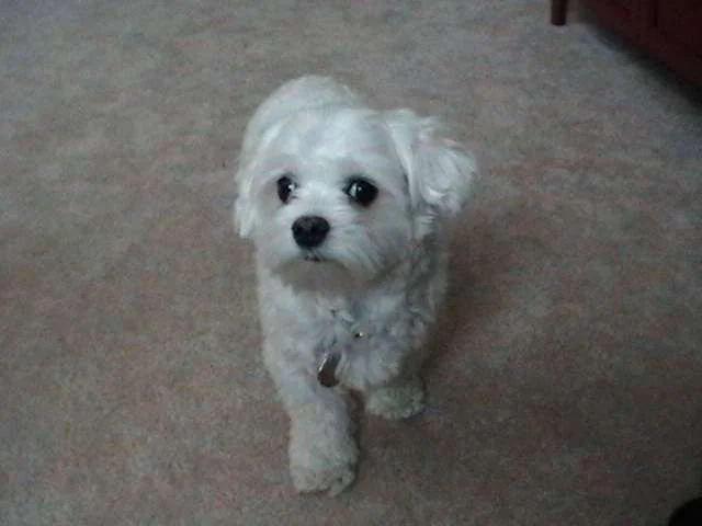 20080205_035847.webp