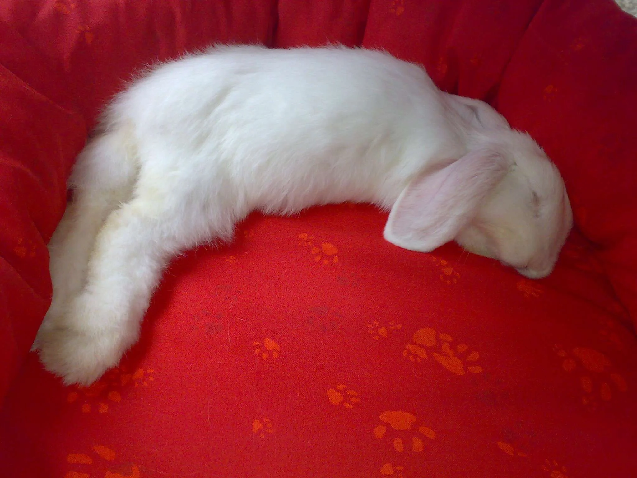 20090616280.webp
