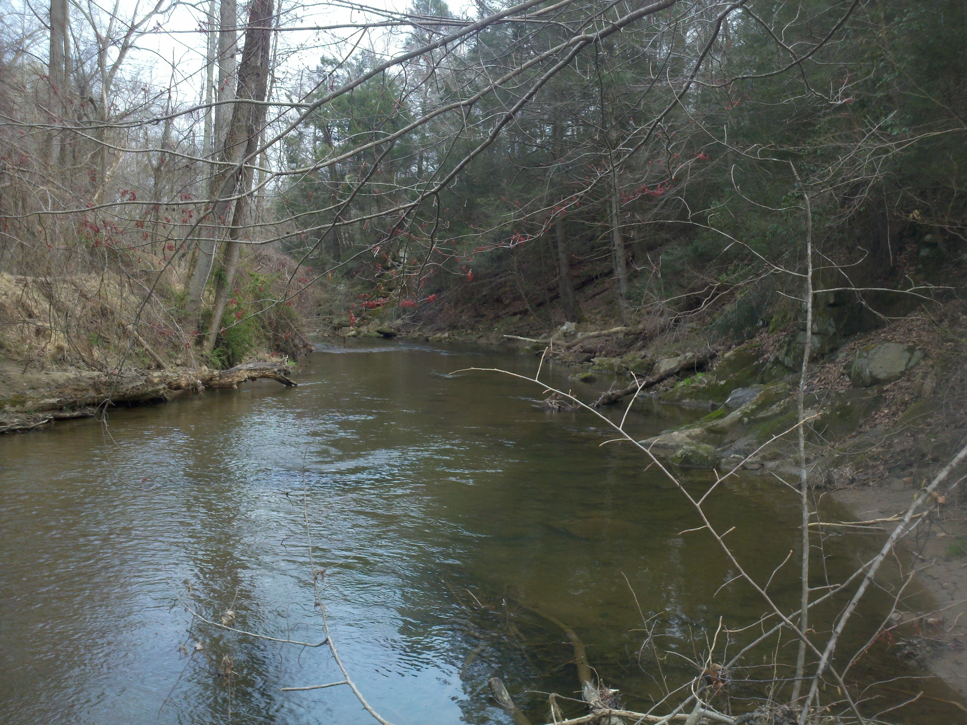 2011-04-10_16-40-11_207.webp