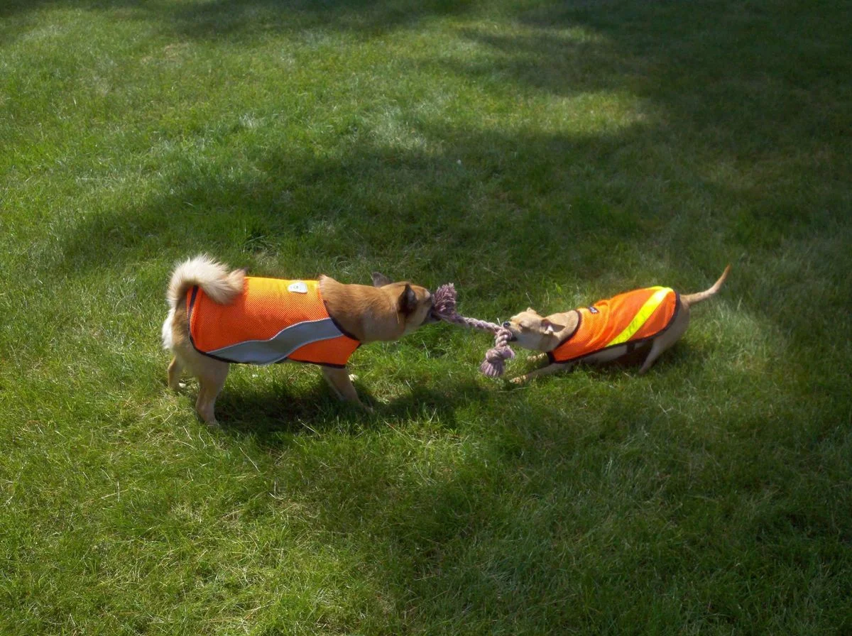 2011-06-20_11-21-27_159.webp