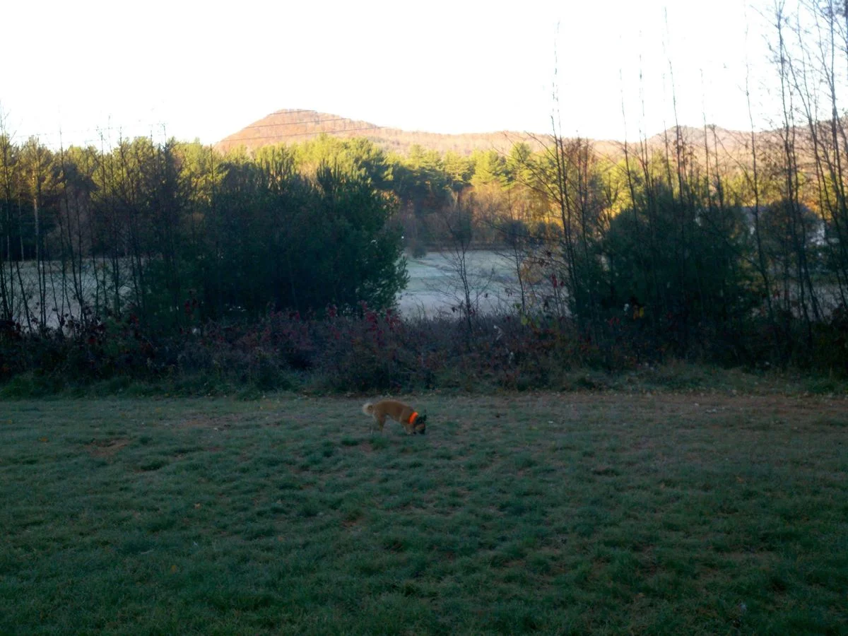 2012-10-24_08-09-14_573.webp
