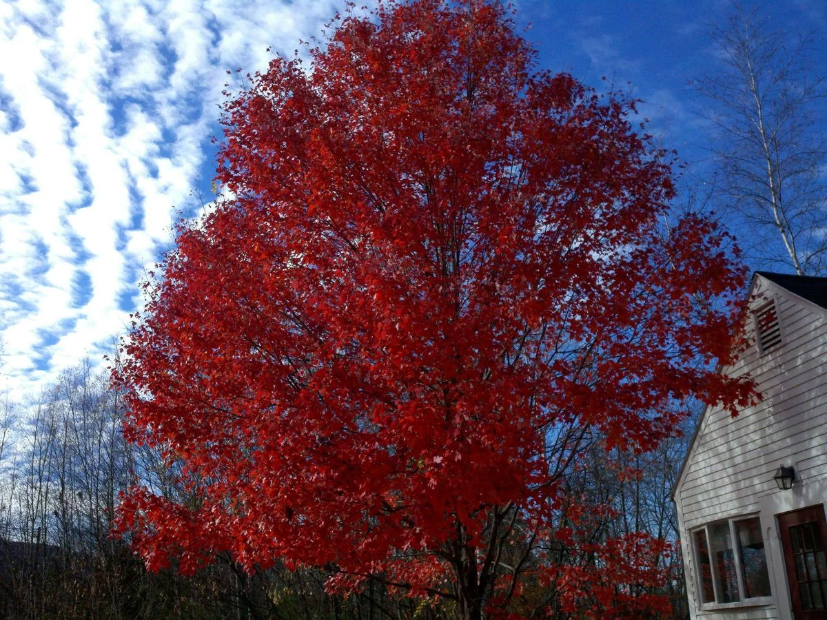 2012-10-24_13-56-14_365.webp