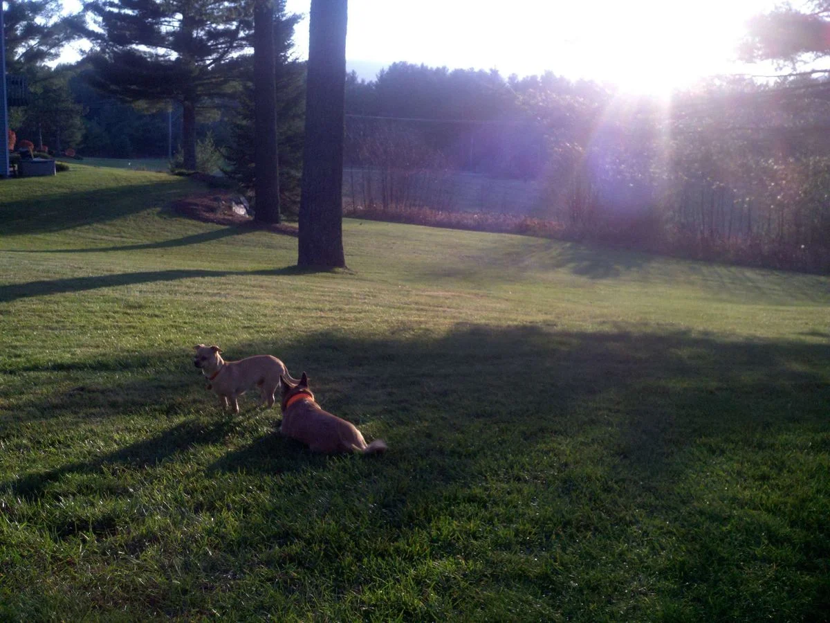 2012-10-26_16-58-43_721.webp