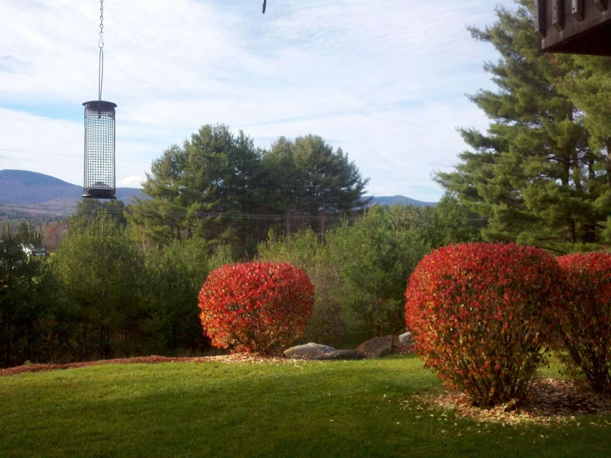2012-10-28_15-01-43_744.webp