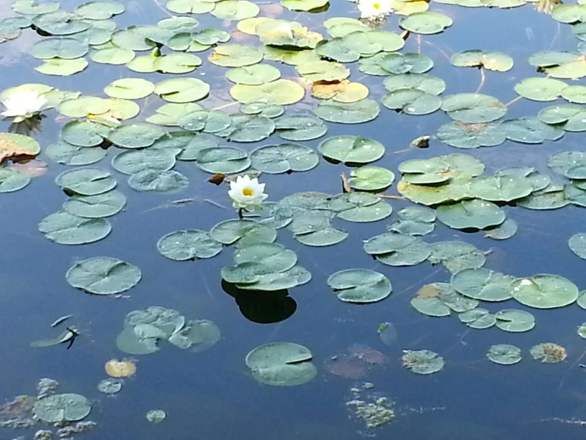20120818_110954.webp