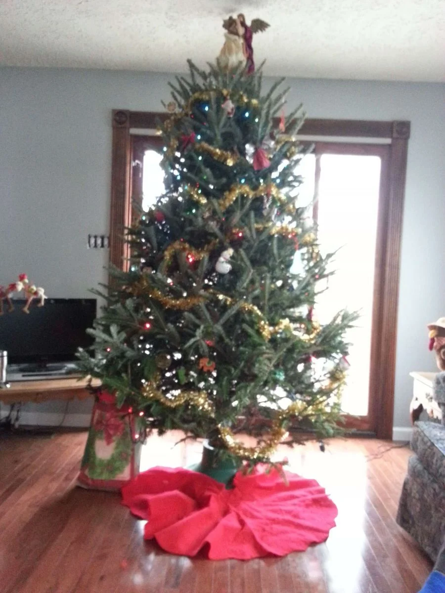 20121216_150533.webp