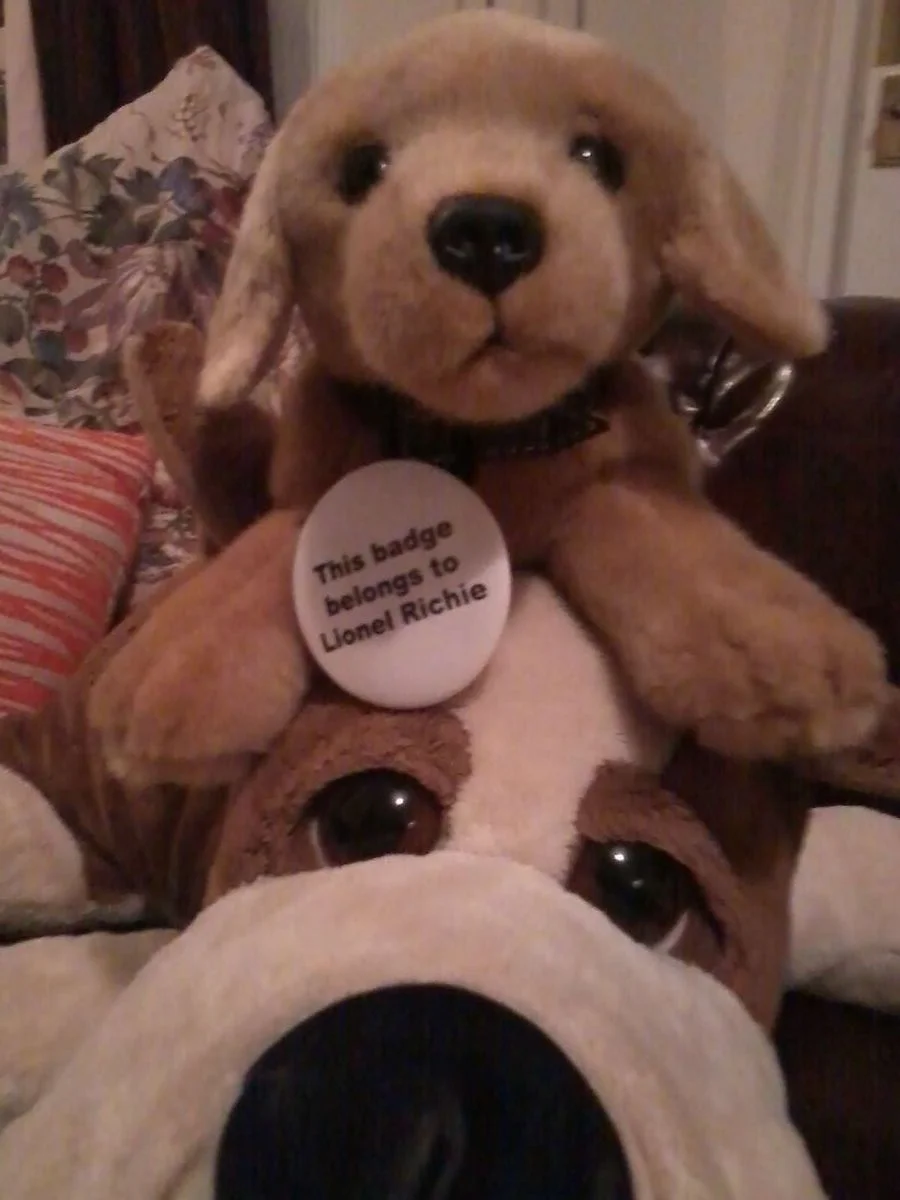 2013-01-05 02.06.09.webp