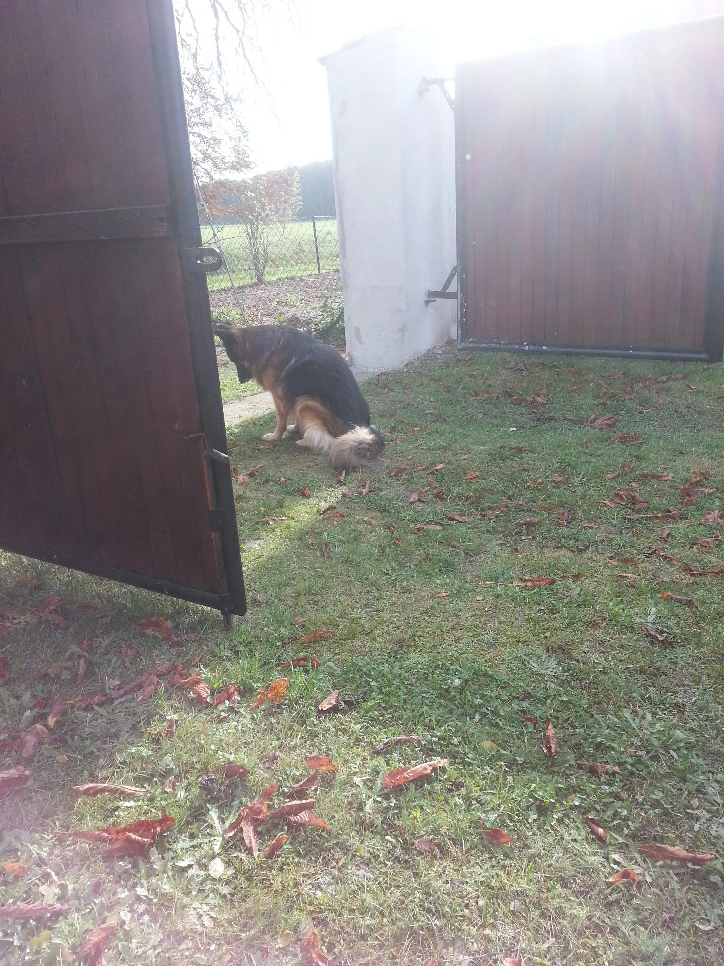 20141026_111133.webp
