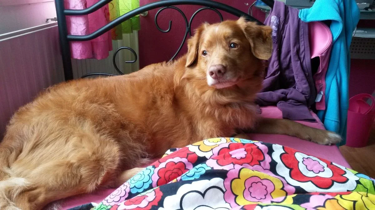 20141103_110600.webp
