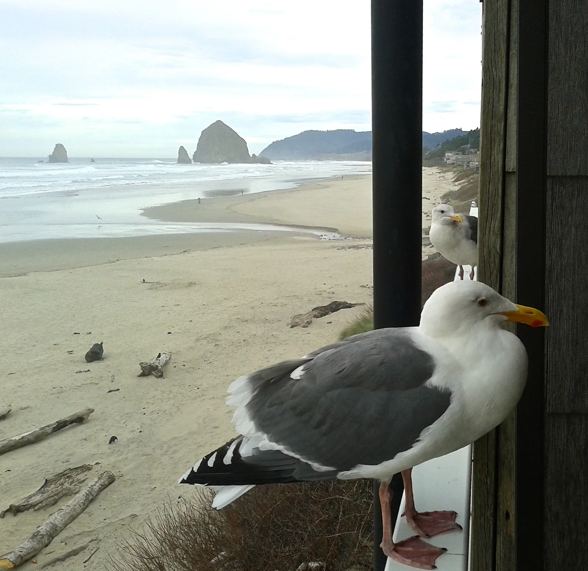 20141119_100413.webp
