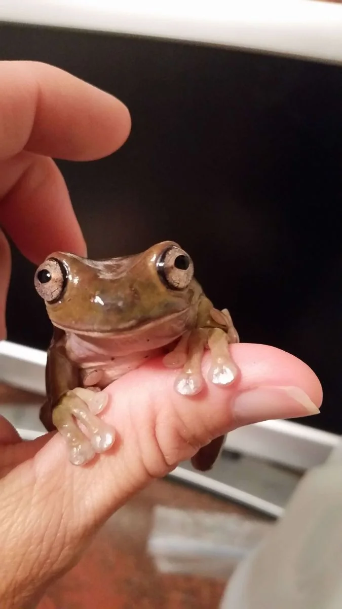 20150822_223230.webp