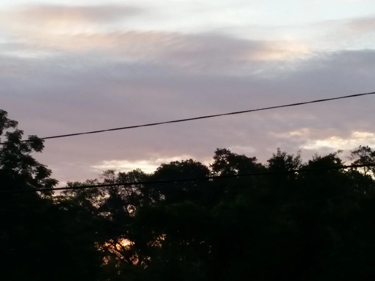 20170627_064222.webp