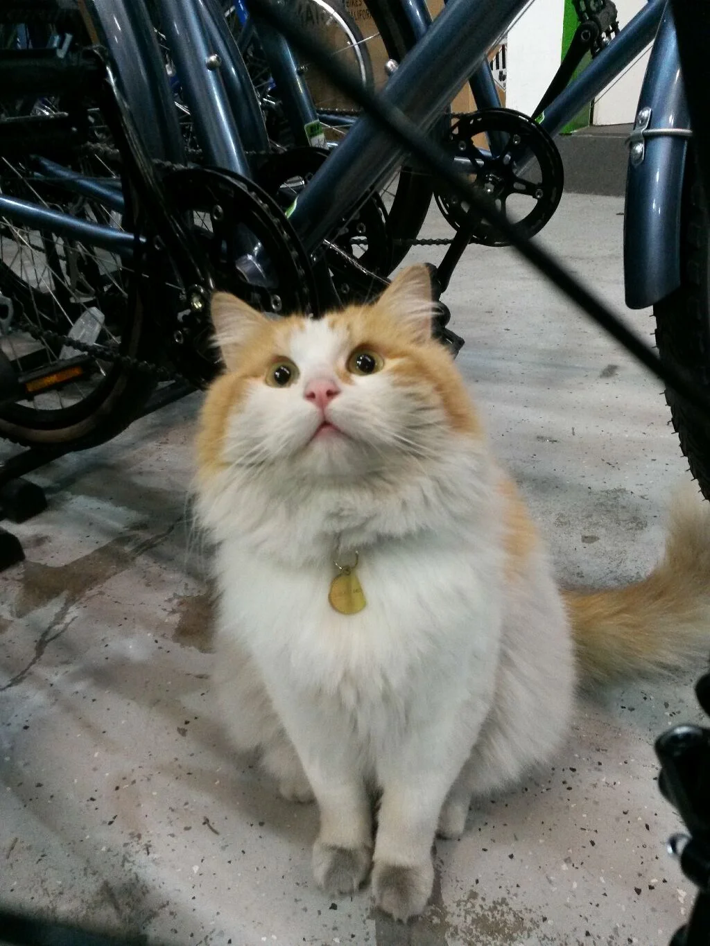 20180603_175433.webp